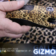 Illustration for article titled At Gizmodo Gallery 09: Tasers!